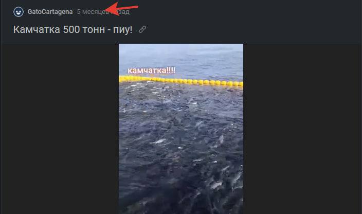 Фейк: на Камчатке рыбаки выловили 500 тонн рыбы, но вынуждены были ее отпустить, — из-за санкций производство остановилось Общие